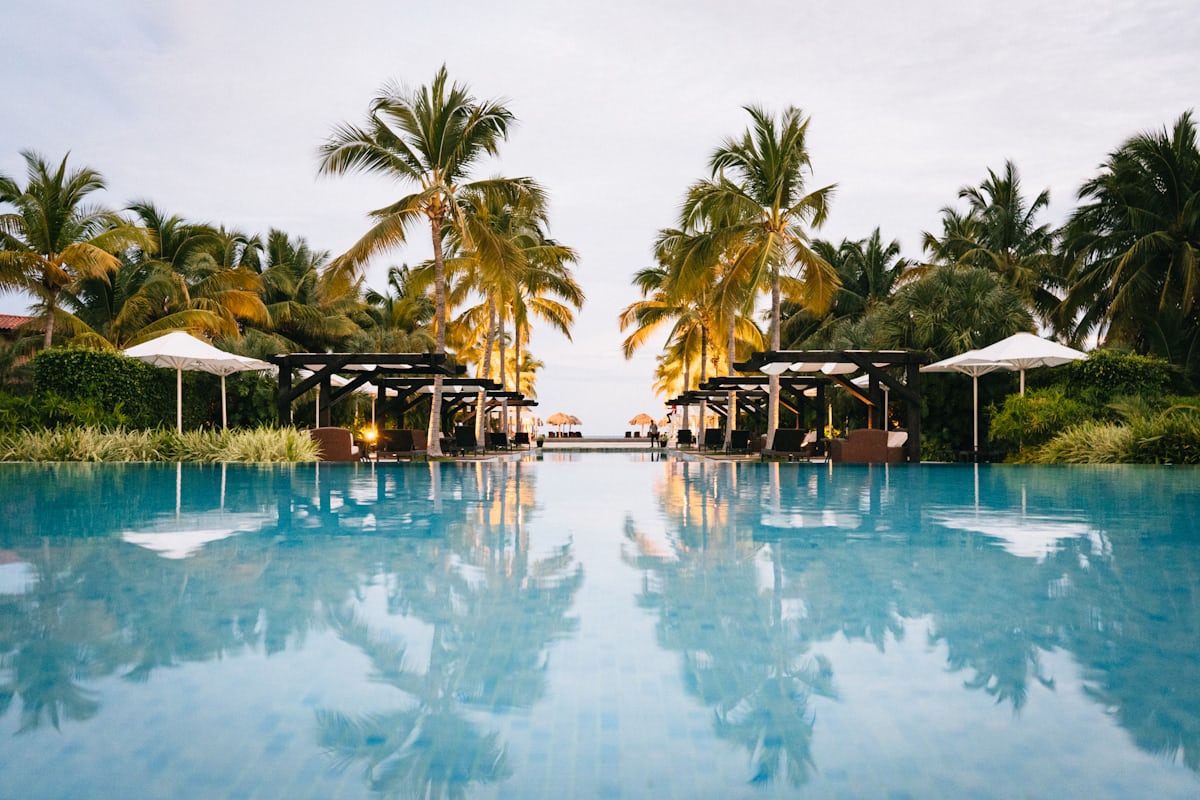 Infinity pool lined with palm trees reflecting toward the ocean at a luxury resort